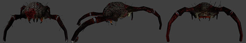 skin_mother_crab.jpg