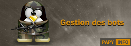 gestiondesbots_css.jpg