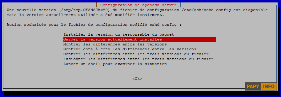 debian10_vers_11_4.jpg